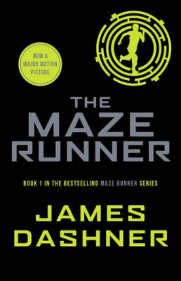 Picture of Maze Runner