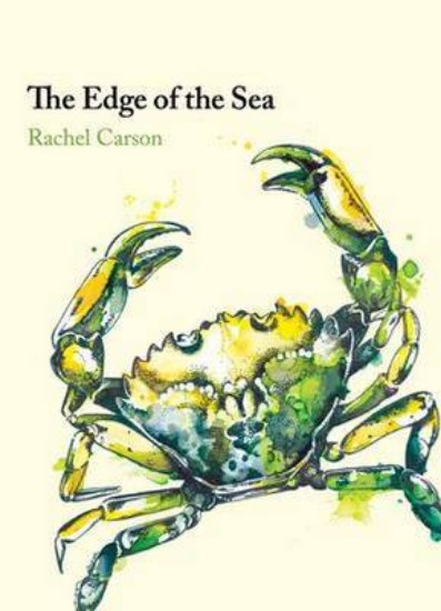 Picture of Edge of the Sea