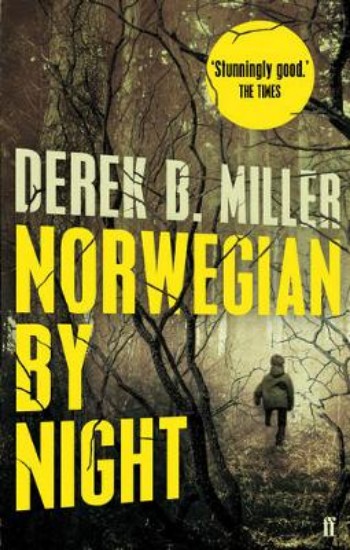 Picture of Norwegian by Night