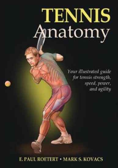 Picture of Tennis Anatomy