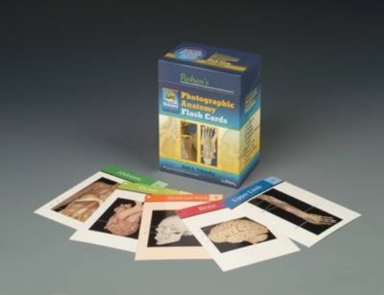 Picture of Photographic anatomy flash cards