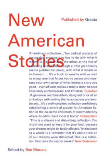 Picture of New American Stories