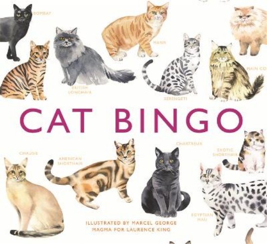 Picture of Cat Bingo
