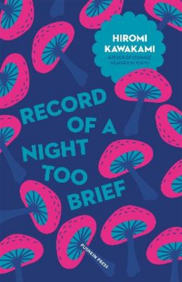 Picture of Record of a Night Too Brief