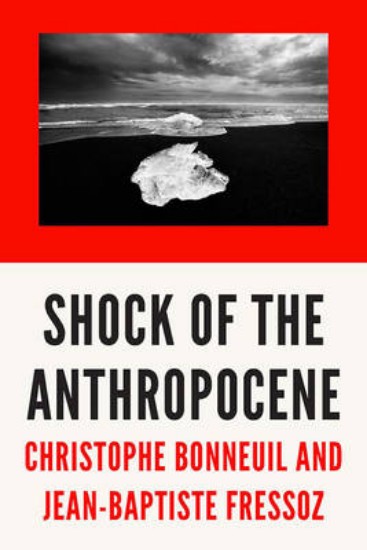 Picture of Shock of the Anthropocene: The Earth, History and Us
