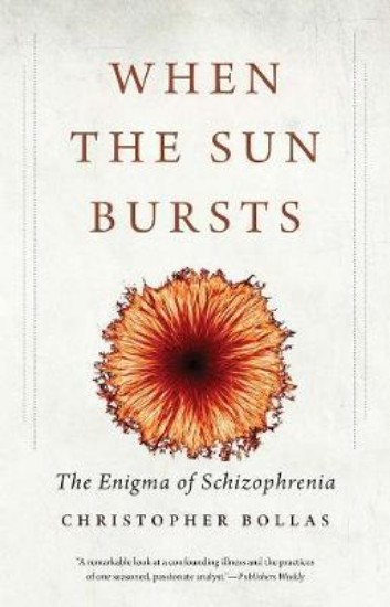 Picture of When the Sun Bursts: The Enigma of Schizophrenia