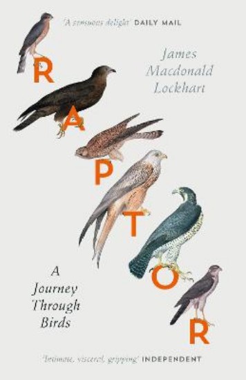 Picture of Raptor: A Journey Through Birds