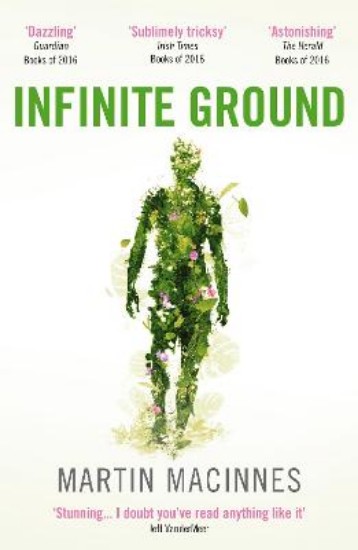 Picture of Infinite Ground