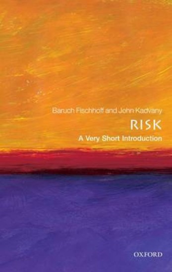 Picture of Risk: A Very Short Introduction