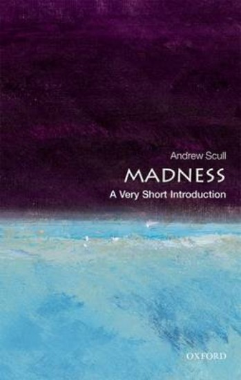 Picture of Madness: A Very Short Introduction