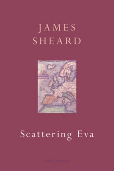 Picture of Scattering Eva