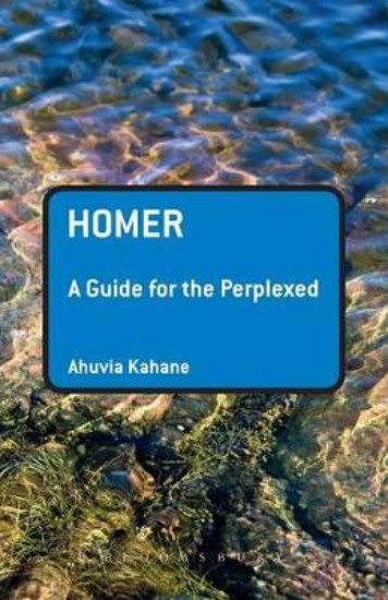 Picture of Homer: A guide for the Perplexed