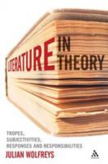 Picture of Literature in theory