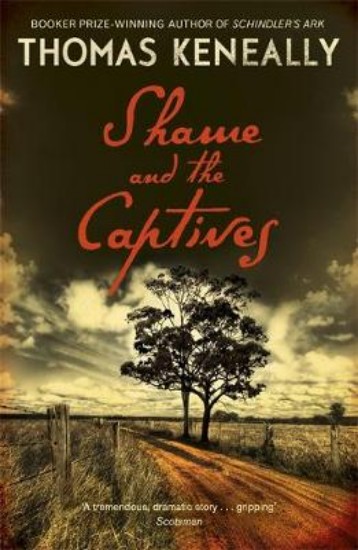 Picture of Shame and the Captives