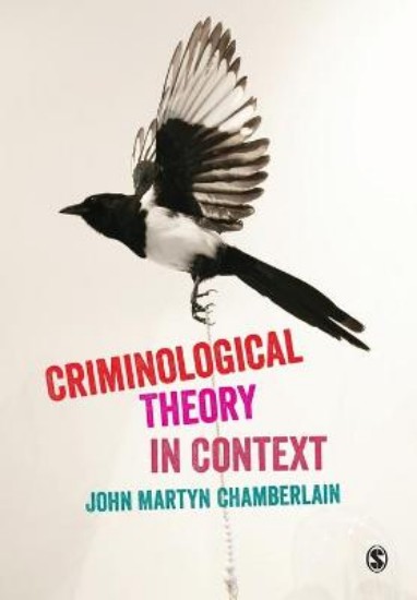 Picture of Criminological Theory in Context
