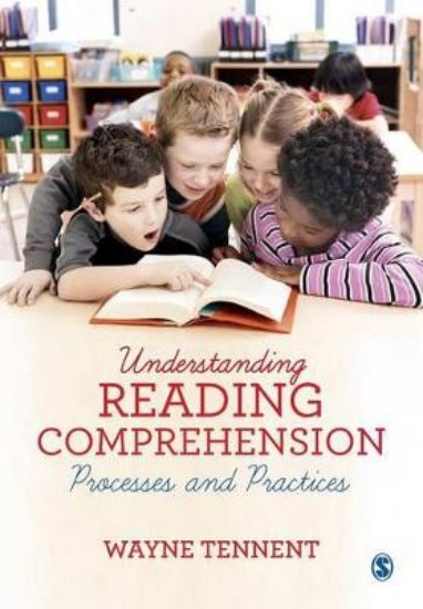 Picture of Understanding Reading Comprehension : Processes and Practices