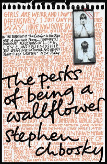 Picture of Perks of Being a Wallflower