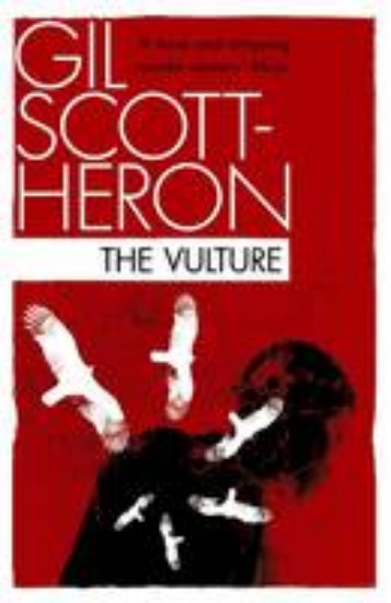 Picture of Vulture