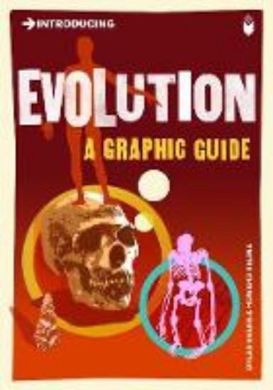 Picture of Introducing Evolution : A Graphic guide