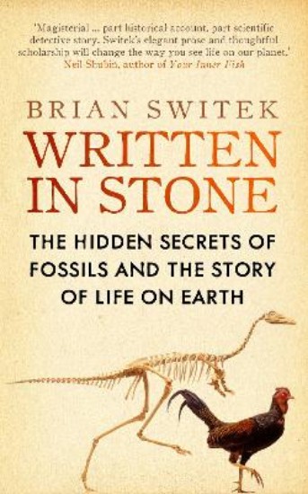 Picture of Written In Stone
