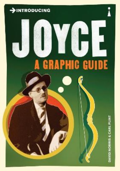 Picture of Introducing Joyce: A Graphic Guide