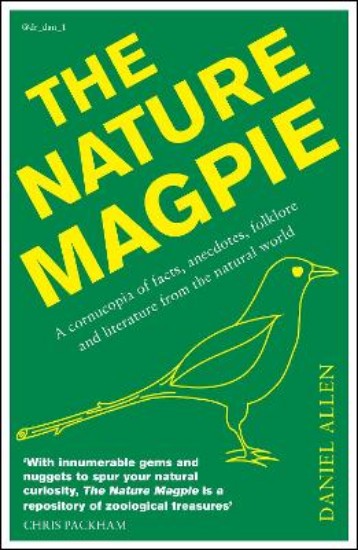 Picture of Nature Magpie