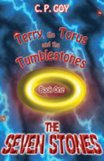 Picture of Seven Stones Book 1: Terry, the Torus and the Tumblestones