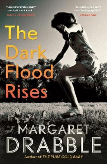 Picture of Dark Flood Rises
