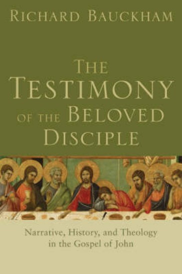 Picture of Testimony of the Beloved Disciple: Narrative, History, and Theology in the Gospel of John
