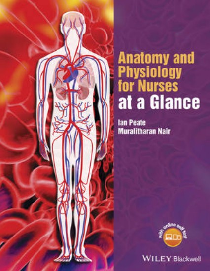 Picture of Anatomy and Physiology for Nurses at a Glance