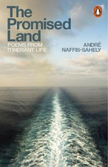 Picture of Promised Land: Poems from Itinerant Life