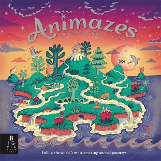Picture of Animazes
