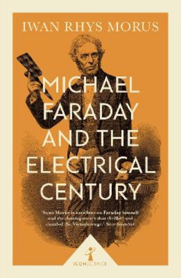 Picture of Michael Faraday and the Electrical Century (Icon Science)