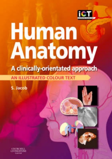 Picture of Human Anatomy: A Clinically-Orientated Approach