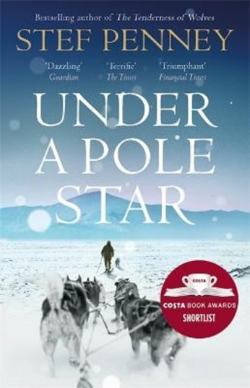 Picture of Under a Pole Star