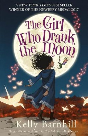 Picture of Girl Who Drank The Moon