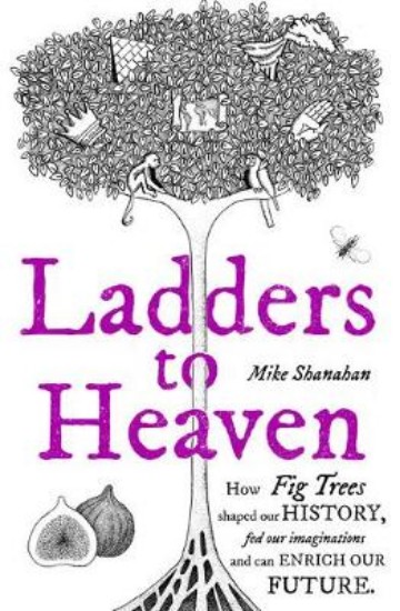 Picture of Ladders to Heaven: How Fig Trees Shaped Our History, Fed Our Imaginations, and Can Enrich Our Future