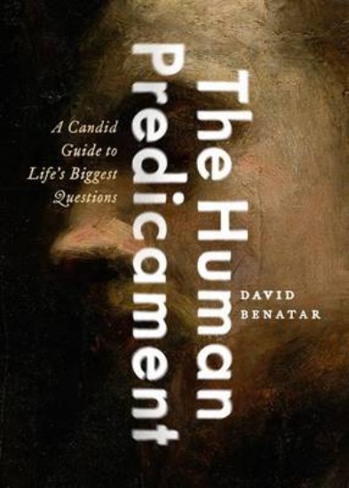 Picture of Human Predicament: A Candid Guide to Life's Biggest Questions