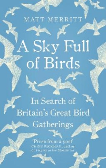 Picture of Sky Full of Birds