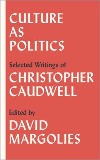 Picture of Culture as Politics: Selected Writings