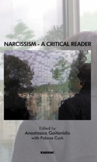 Picture of Narcissism: A Critical Reader