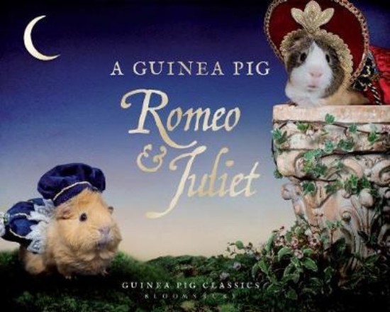 Picture of Guinea Pig Romeo & Juliet