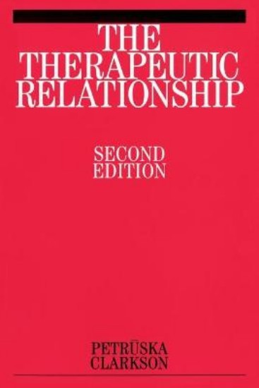 Picture of Therapeutic Relationship