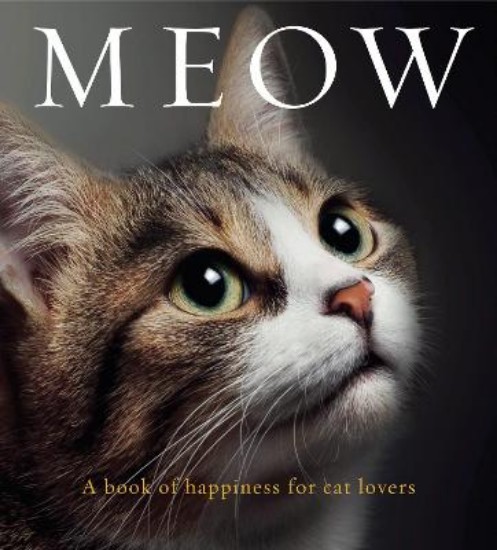 Picture of Meow: A book of happiness for cat lovers