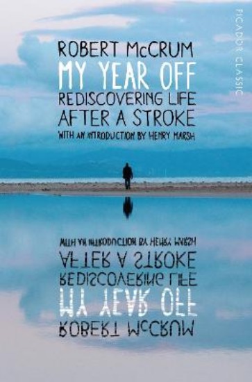 Picture of My Year Off: Rediscovering Life After a Stroke