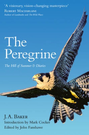 Picture of Peregrine: The Hill of Summer & Diaries: The Complete Works of J. A. Baker
