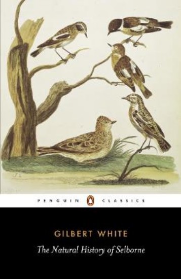 Picture of Natural History of Selborne