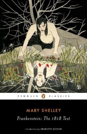 Picture of Frankenstein: The 1818 Text