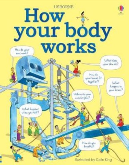 Picture of How Your Body Works