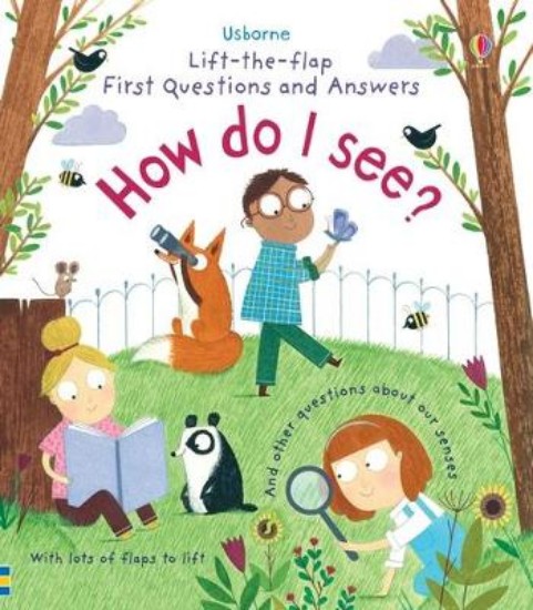 Picture of Lift-The-Flap First Questions and Answers: How Do I See?